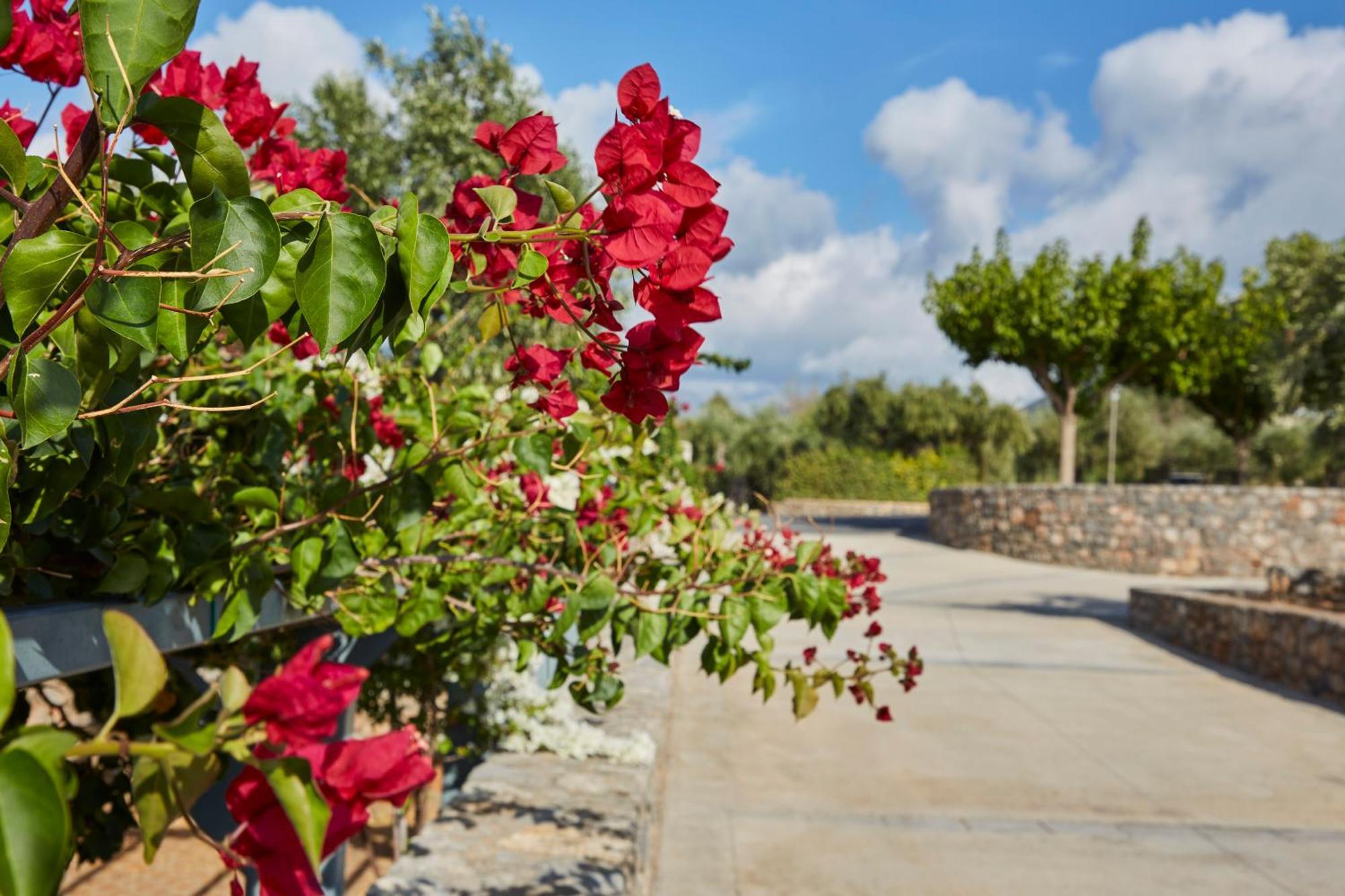 Searocks Villas Exclusive Resort Kitriaí エクステリア 写真